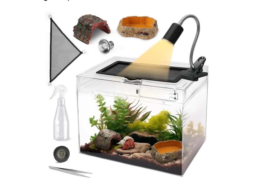 Reptile Terrarium Starter Kit, SM Reptile Tank with all accessories included
